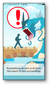 Niantic's safety warning screen